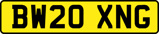 BW20XNG