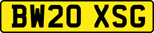 BW20XSG