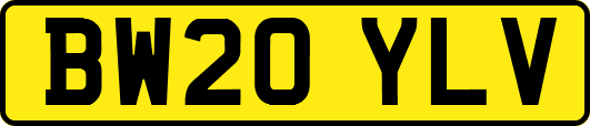 BW20YLV