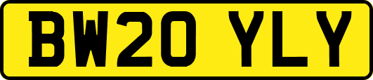 BW20YLY