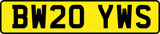 BW20YWS
