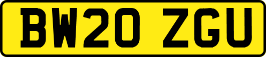 BW20ZGU