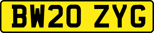 BW20ZYG