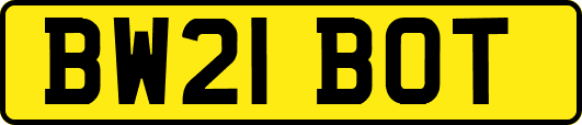 BW21BOT