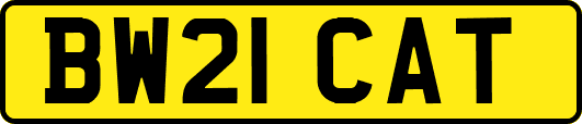 BW21CAT