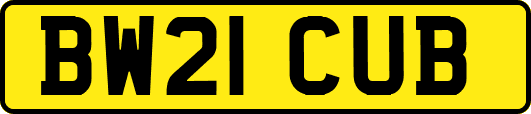BW21CUB