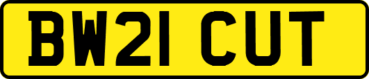 BW21CUT