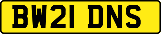 BW21DNS