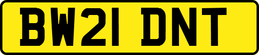 BW21DNT