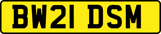 BW21DSM