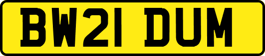 BW21DUM