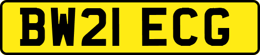 BW21ECG