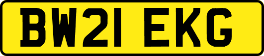 BW21EKG