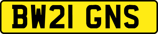 BW21GNS