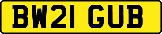 BW21GUB