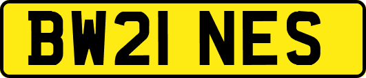 BW21NES