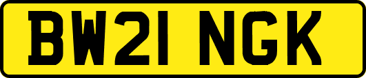 BW21NGK