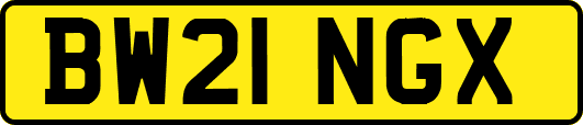 BW21NGX