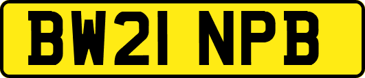 BW21NPB