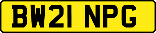 BW21NPG