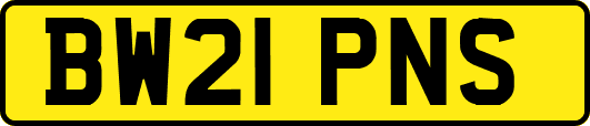 BW21PNS