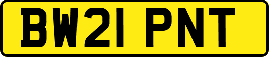 BW21PNT