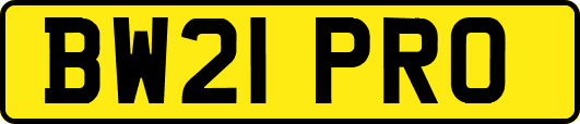 BW21PRO