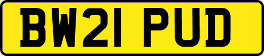 BW21PUD