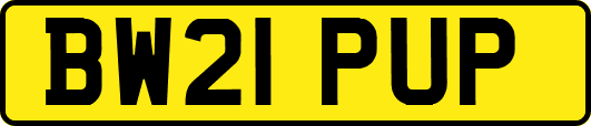 BW21PUP