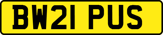 BW21PUS
