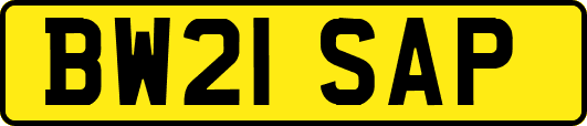 BW21SAP