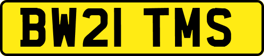 BW21TMS
