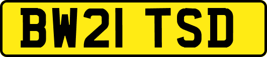 BW21TSD