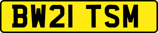 BW21TSM