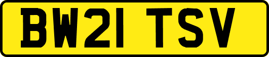 BW21TSV