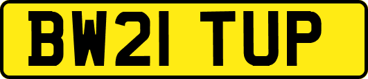 BW21TUP