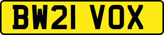 BW21VOX