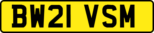 BW21VSM