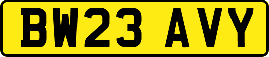 BW23AVY