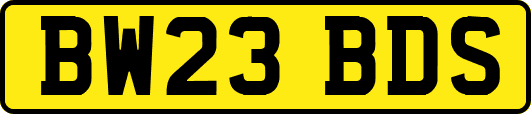 BW23BDS