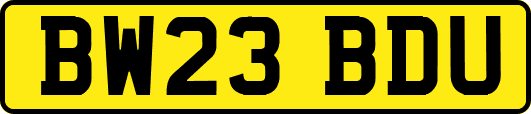 BW23BDU