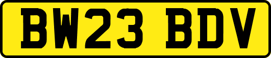 BW23BDV
