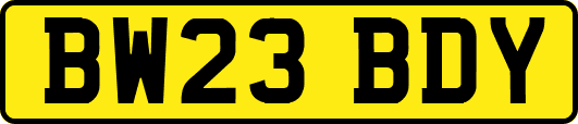 BW23BDY