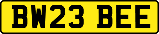 BW23BEE