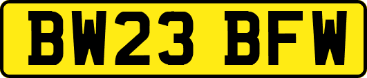 BW23BFW