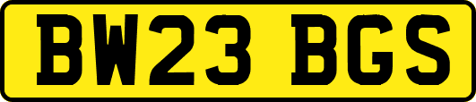 BW23BGS