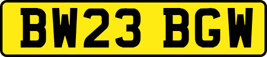 BW23BGW
