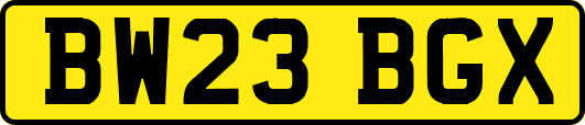 BW23BGX