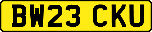 BW23CKU