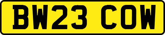 BW23COW